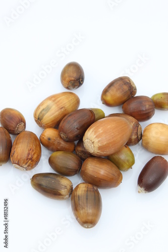 Wallpaper Mural Fruits de la forêt Torontodigital.ca