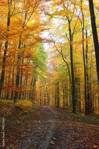 Herbst © www.tierfilmer.info