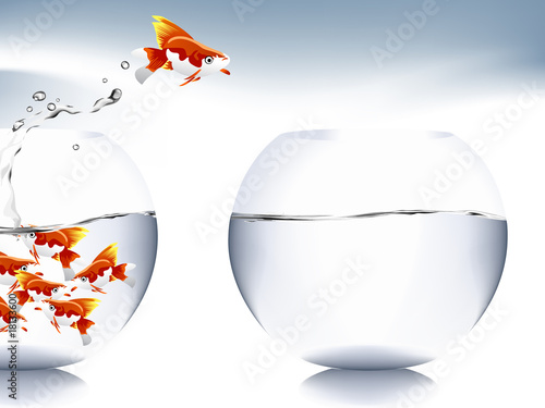 goldfish jumping