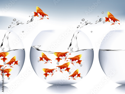 goldfish jumping
