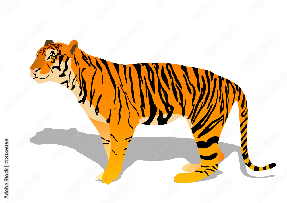 tiger tiger