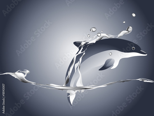 dolphin swimming