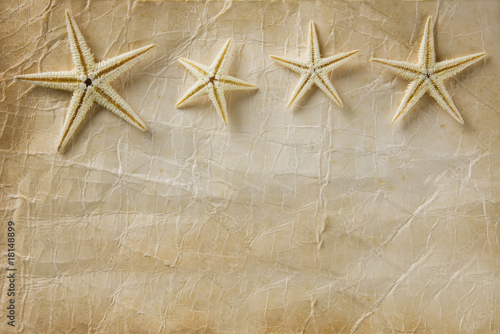 Papel con Estrellas de Mar Papel con Estrellas de Mar