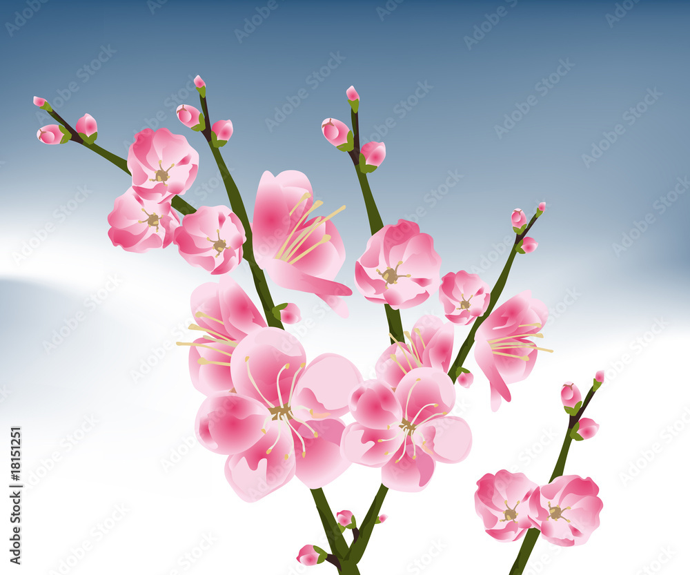Fototapeta premium Flowers Illustration 14