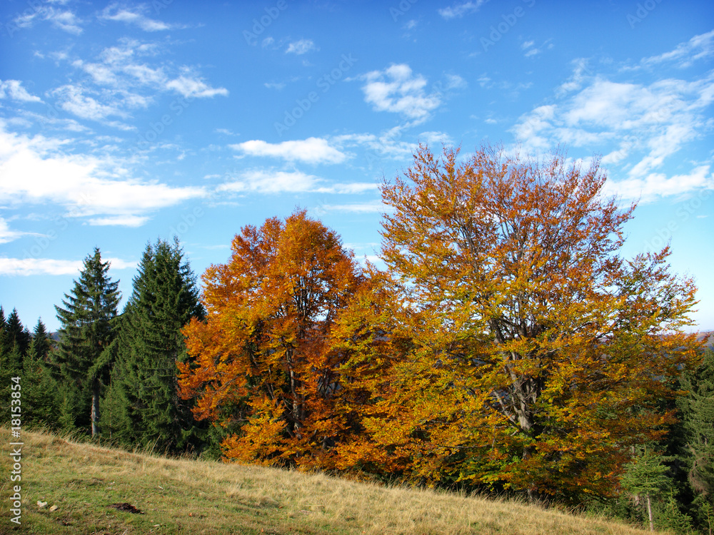 Fototapeta premium serbia landscape