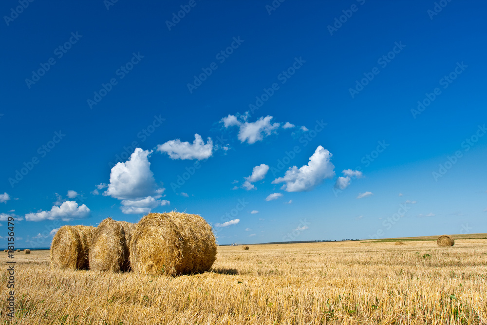 hay under blue skies