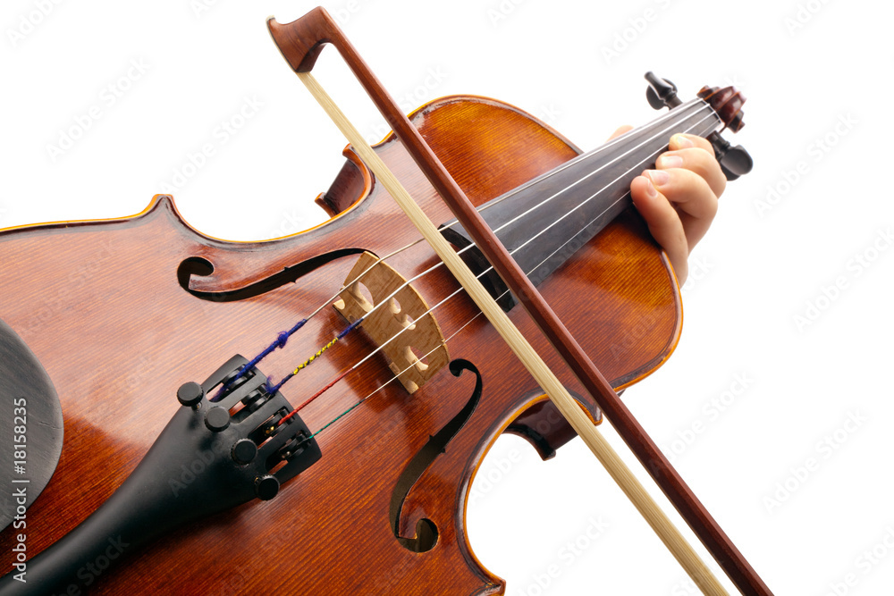Fototapeta premium Playing Violin on white backround