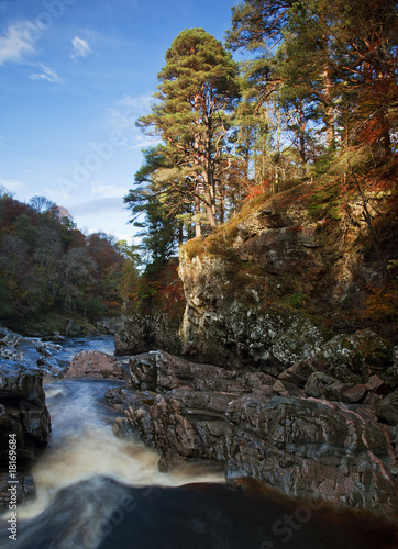 Randolph's leap