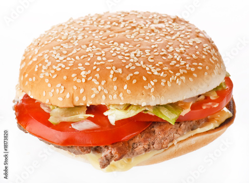 hamburger on the white