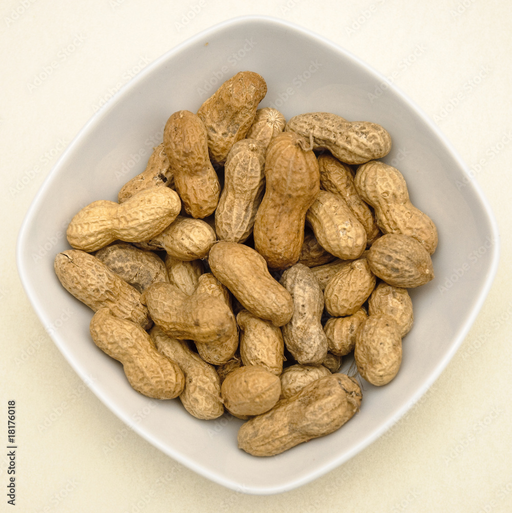 Foto Stock Arachidi 3 Adobe Stock