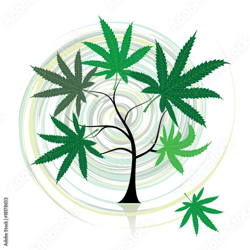 Cannabis tree