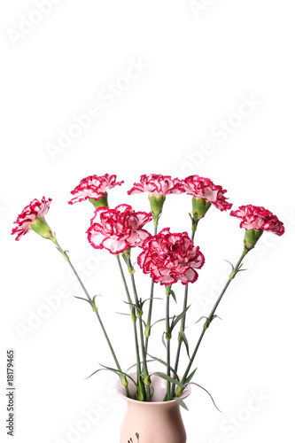 Pink carnation bouquet isolated on white