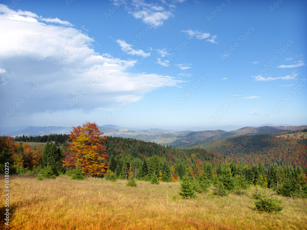 Fototapeta premium Autumn landscape