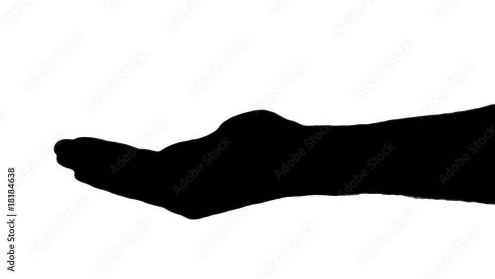 Referee beckoning hand in silhouette against white - HD