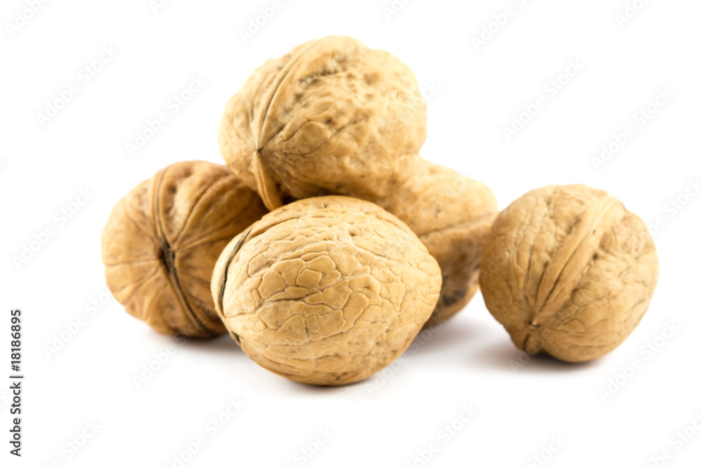 pile of Walnut isolated on white pile of Walnut isolated on white