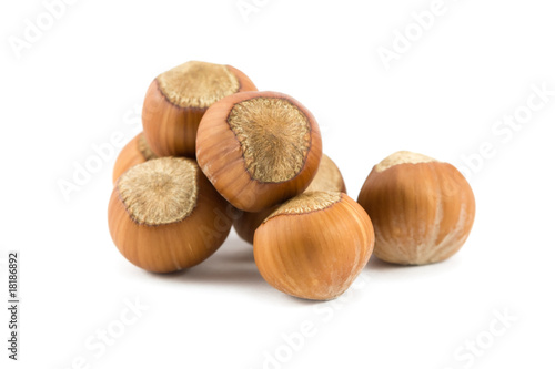 pile of hazelnuts isolated on white