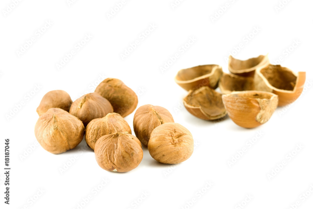 hazelnuts isolated on white hazelnuts isolated on white