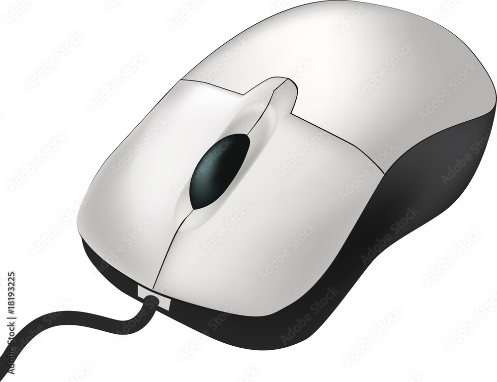 computer mouse