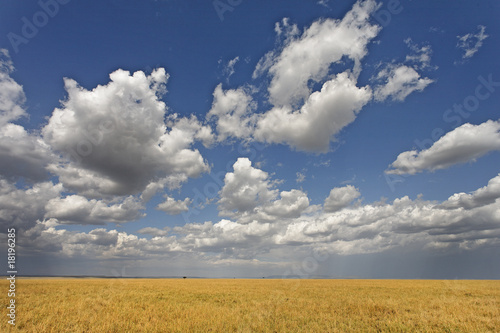 Cumulus clouds over the Serengeti plains in Kenya.