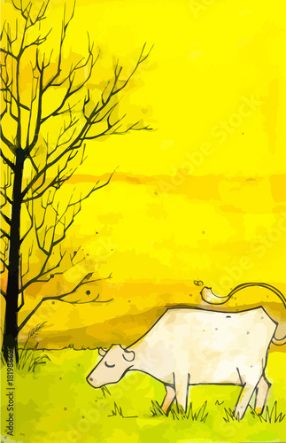 Cow in a field