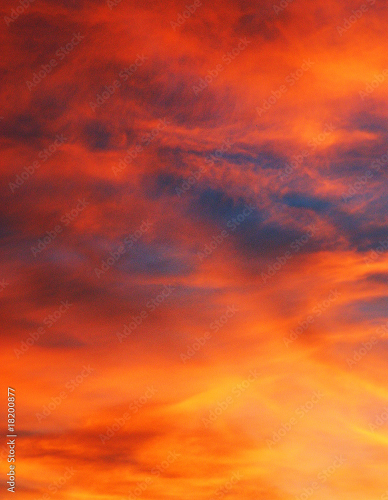 Fototapeta premium Love