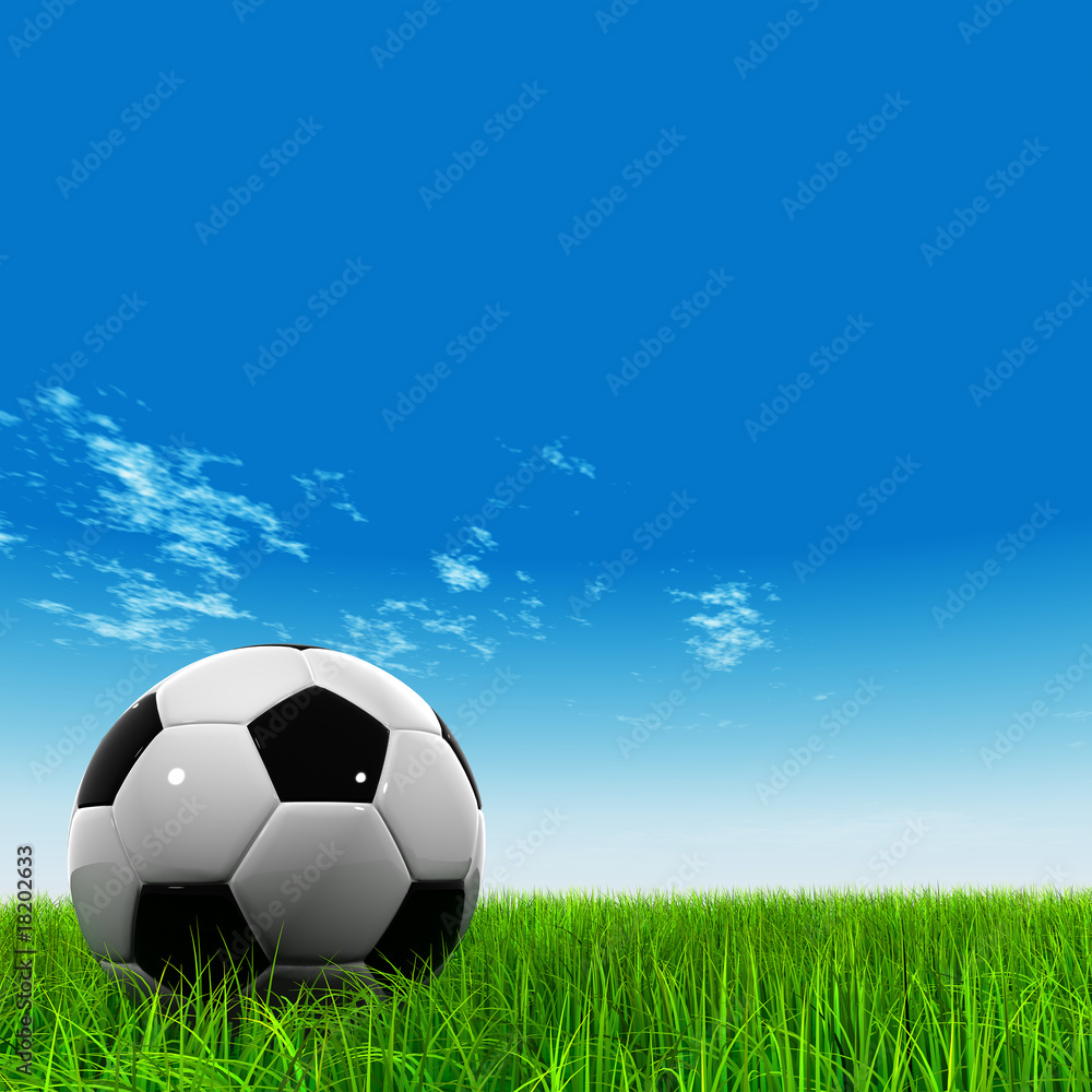 Naklejka premium 3D black soccer ball,green grass and a blue sky with clouds