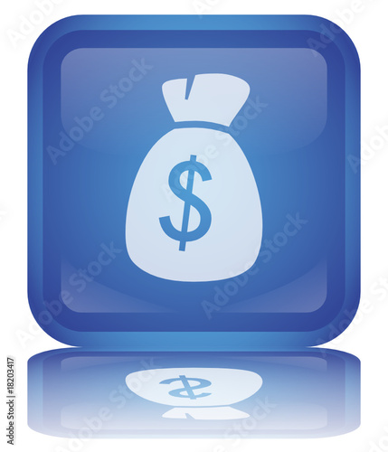 " Bag of Dollars " Button (square - blue - vector - reflection)