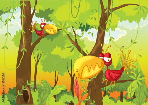 birds