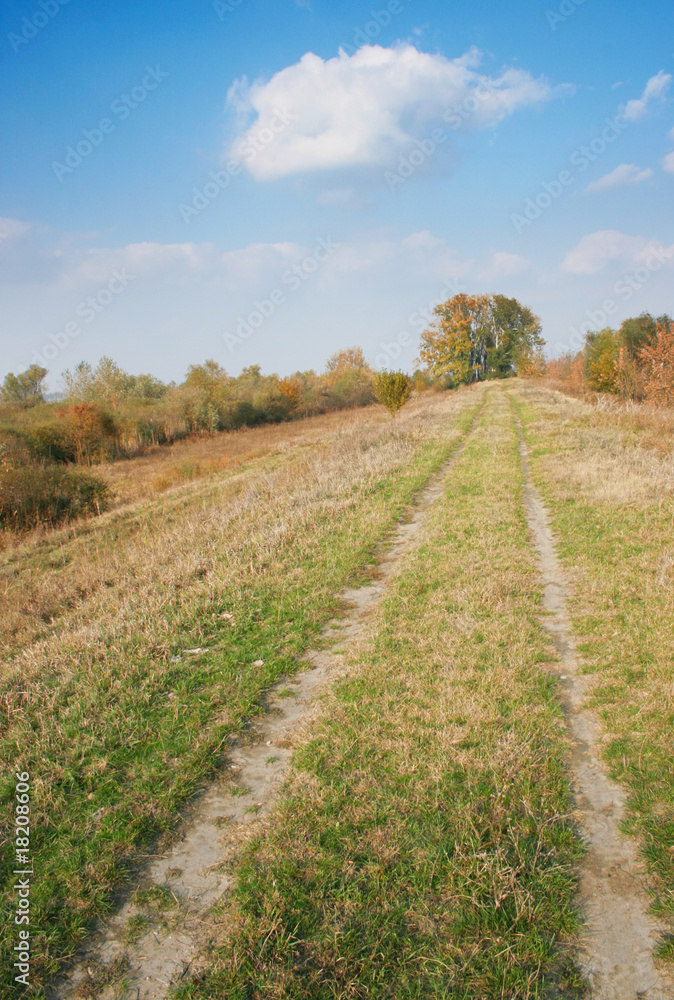 Fototapeta premium landscape