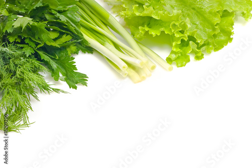 Fresh greens on white background