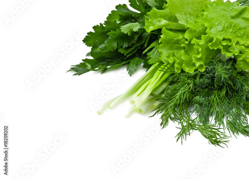 Fresh greens on white background