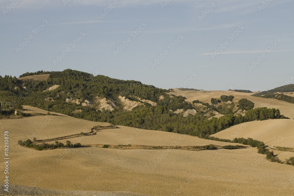 Fototapeta premium Toskana
