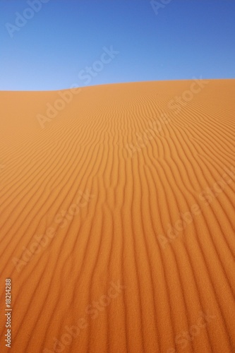 sahara desert