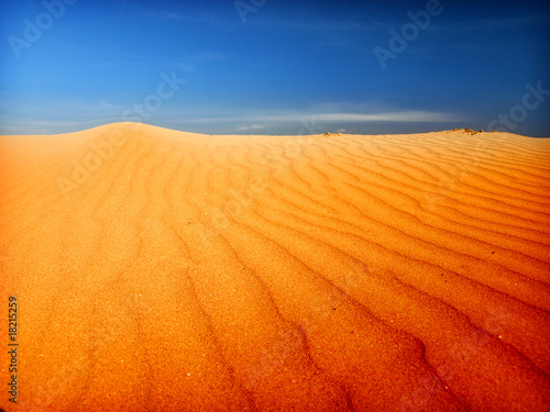 desert sahara