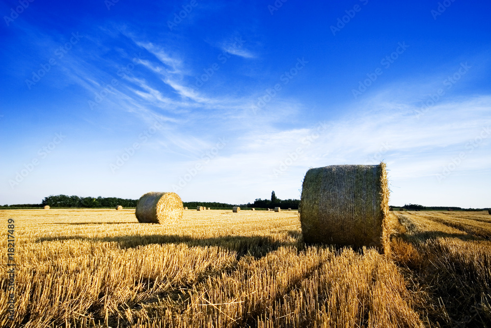  farm field with hay bales in Hungary