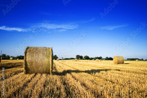  farm field with hay bales in Hungary