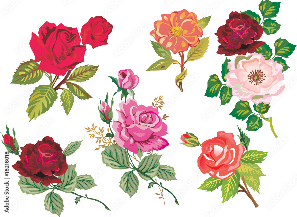 Naklejka premium rose branches collection