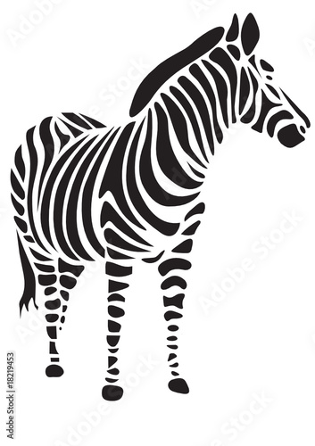 zebra