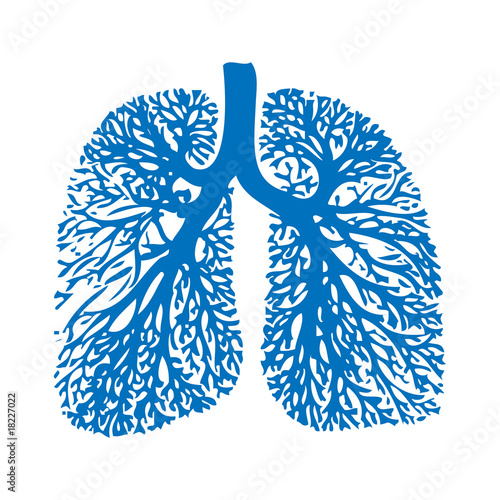 Lung Anatomy, bronchi, human medical illustration, emblem, schem