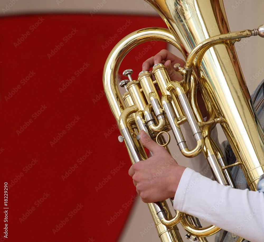Obraz premium Tuba