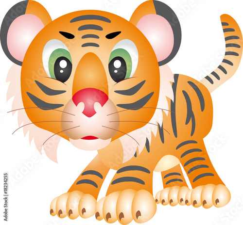 Tiger vector