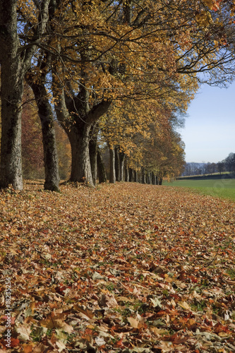 autumn parkway