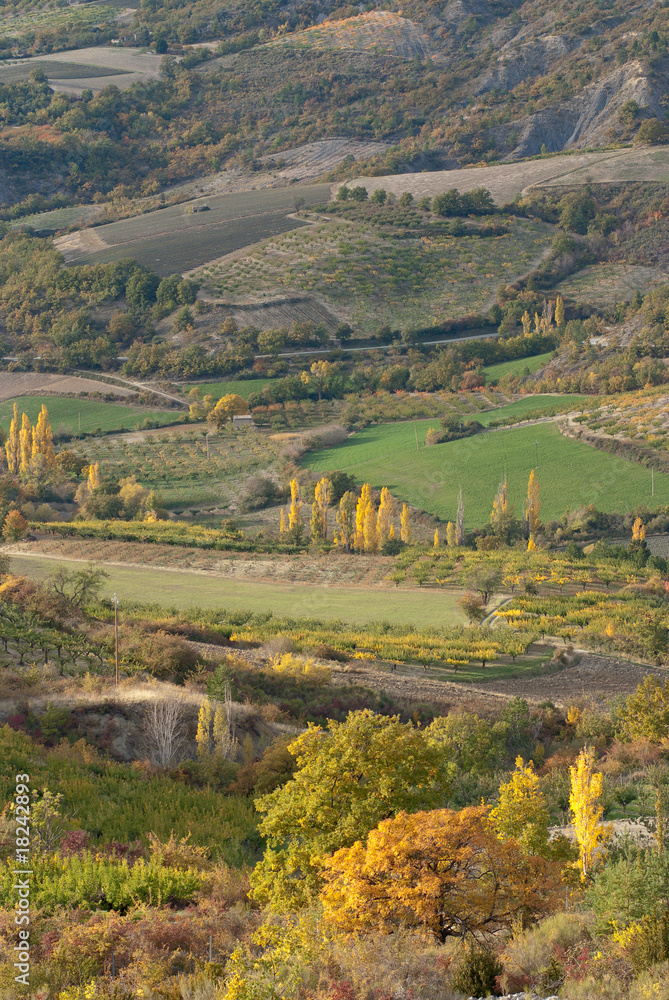 vallée cultivée - paysage d'automne