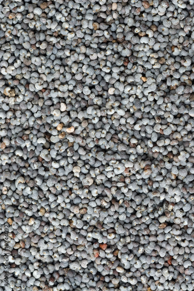 Obraz premium poppy seeds background