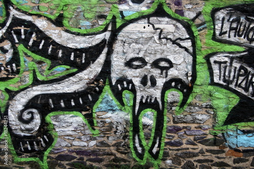 tête de mort ,tag,graffiti photo