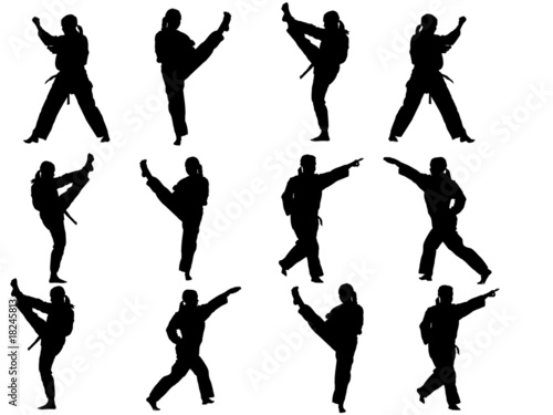 Junge Taekwondokämpferinnen-Silhouette