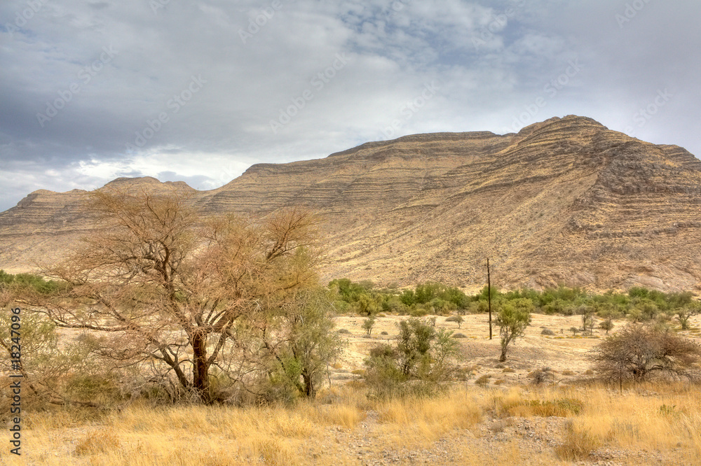Fototapeta premium Landschaft in Namibia