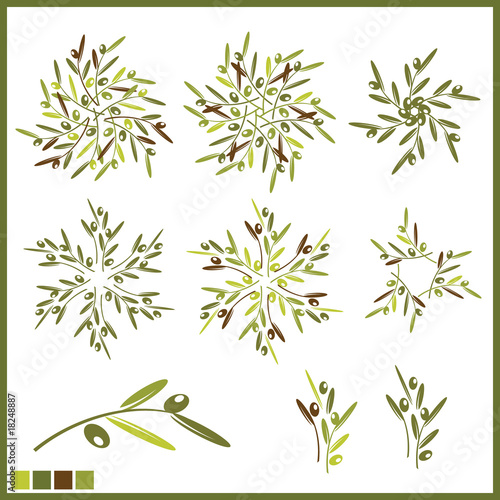 Design elements with olive repeat