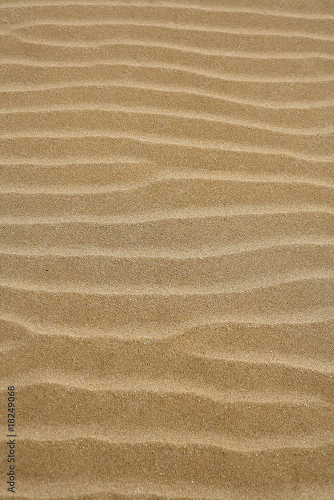 Beach sand waves warm texture background Beach sand waves warm texture background