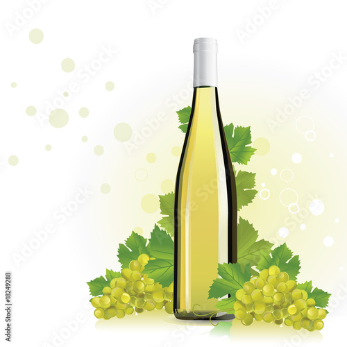 vector illustration of wine, champagne bottle with grapes